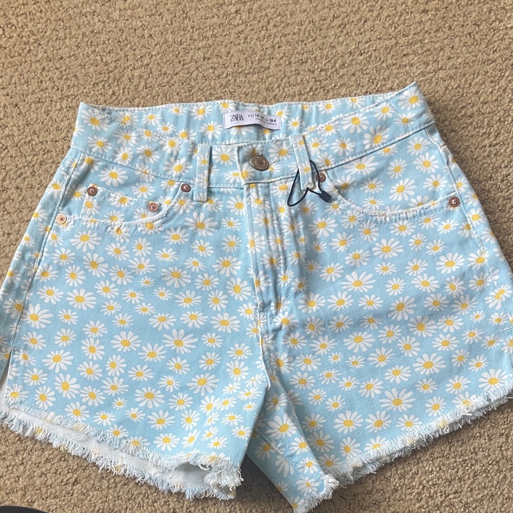 Zara Women's Light Blue Daisy Print Jean Shorts